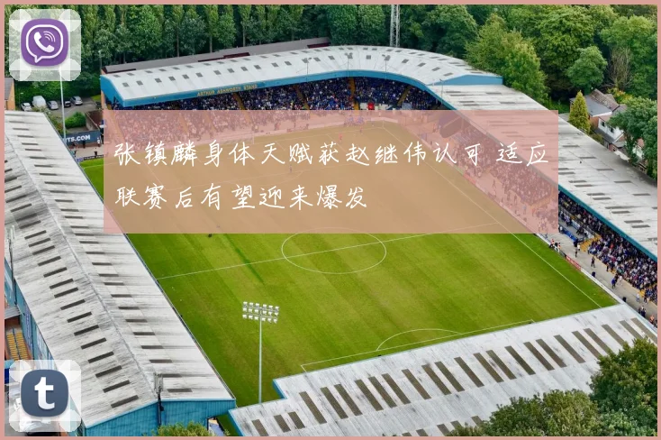 张镇麟身体天赋获赵继伟认可 适应联赛后有望迎来爆发