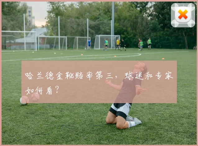 哈兰德金靴赔率第三,球迷和专家如何看?