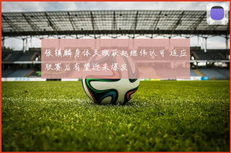 张镇麟身体天赋获赵继伟认可 适应联赛后有望迎来爆发