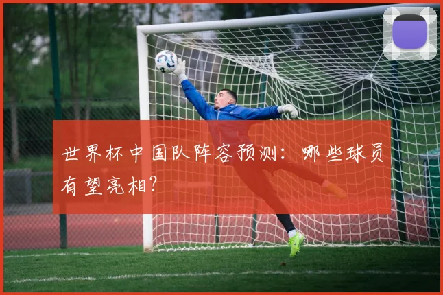 世界杯中国队阵容预测：哪些球员有望亮相？