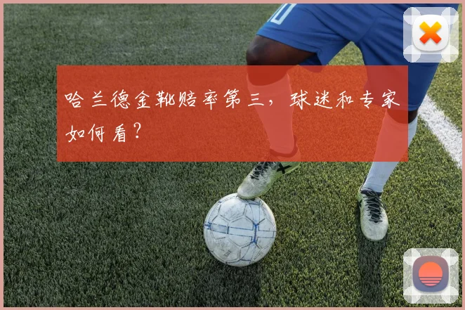 哈兰德金靴赔率第三,球迷和专家如何看?