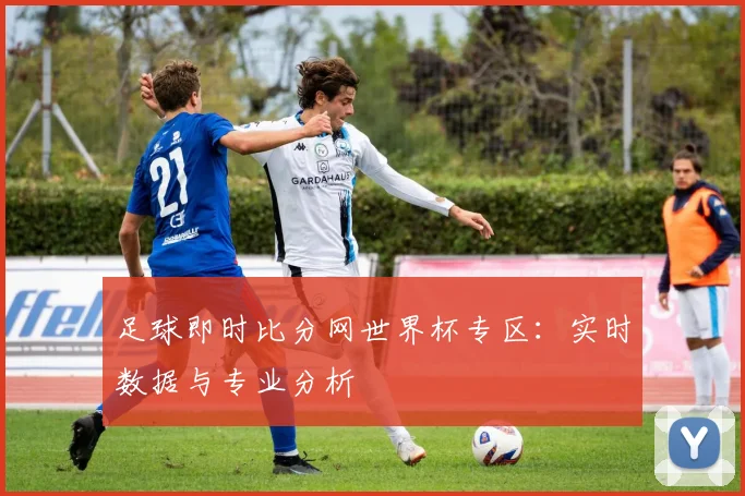 足球即时比分网世界杯专区:实时数据与专业分析